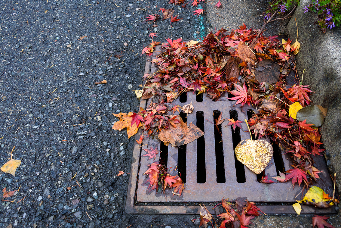 Drain Clearance Services