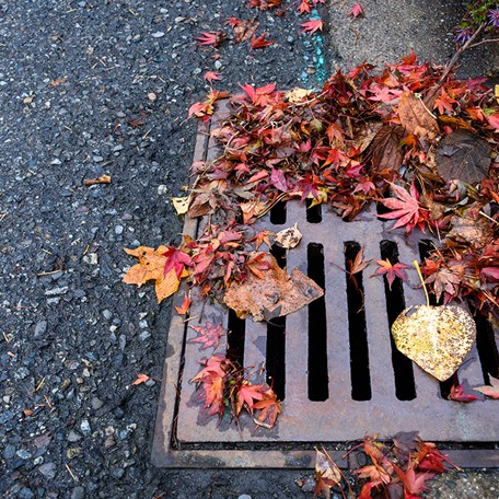 Drain Clearance Services