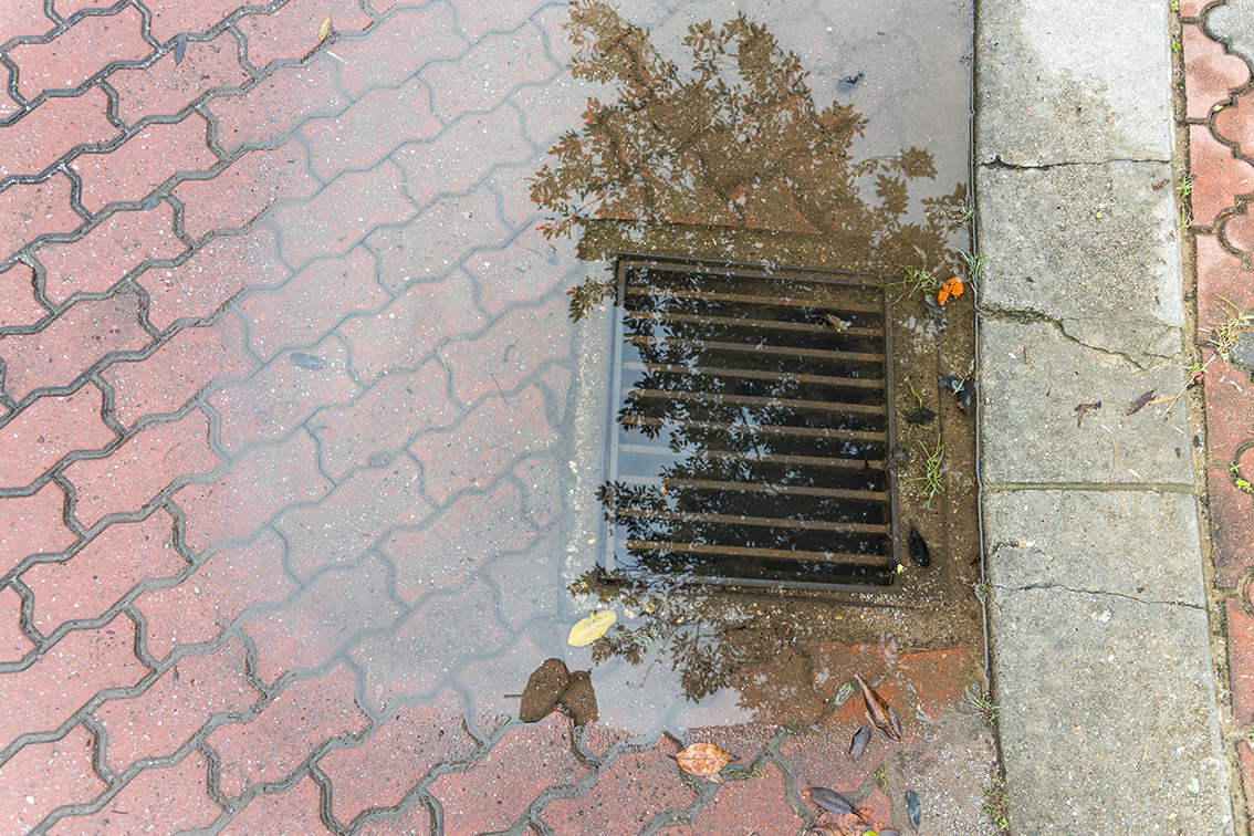 Drain Maintenance Services