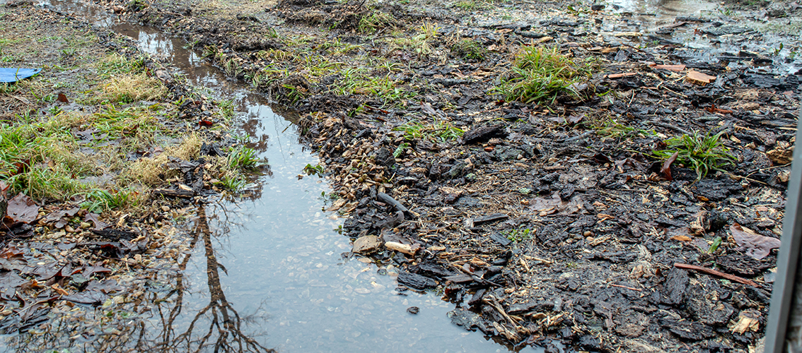 Spring Drainage Problems